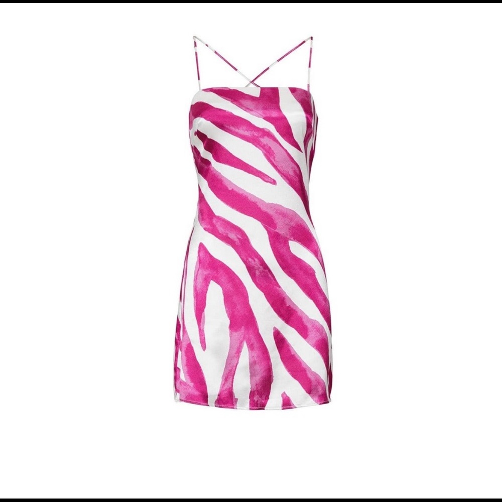 The East Order Rhea Zebra Dress